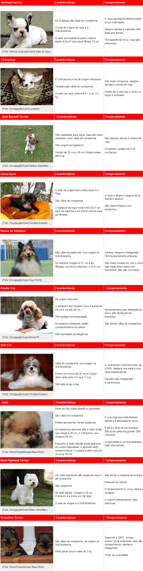 Cães para apartamento Raças de cães para apartamento