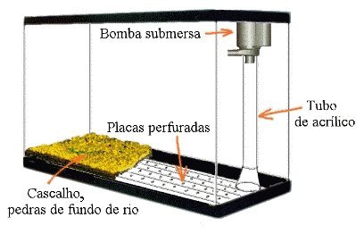 Filtro para aquário