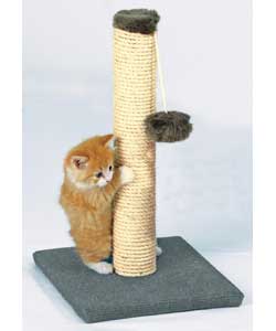 Mini poste para gatos