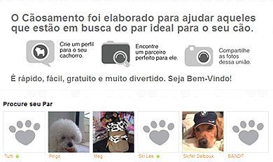 Site de relacionamentos para animais Rede social de animais de estimação