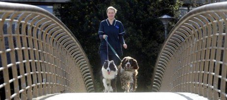 Praticando exercícios físicos com seu animal de estimação Um momento de conexão com seu animal