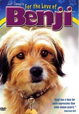 O pequeno notável Benji Benji