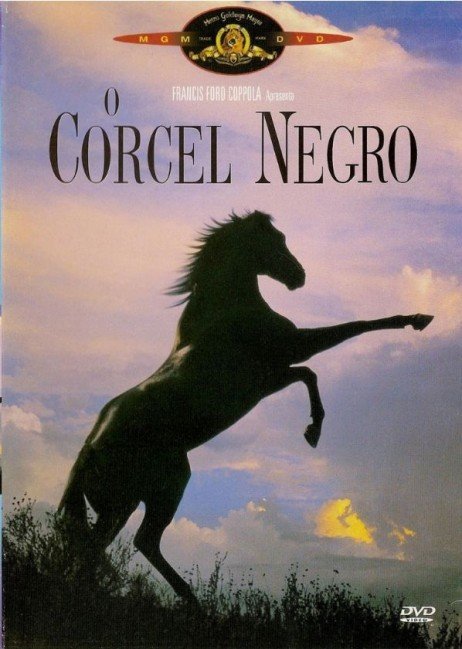 Um cavalo mais do que bonito para um filme emocionante O Corcel Negro