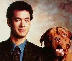Uma Dupla Quase Perfeita Turner & Hooch