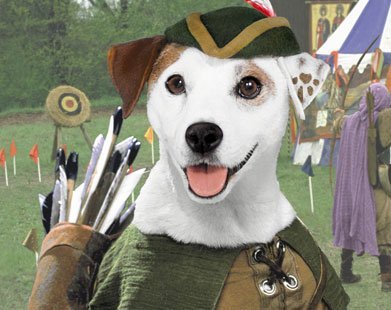 Um dos seriados clássicos da TV Cultura Wishbone