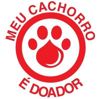 Cães e gatos podem doar sangue Animais para doação de sangue! Você sabia disso?