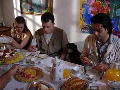 Como fazer o cachorro parar de pedir comida? Posso dar comida pro cão?
