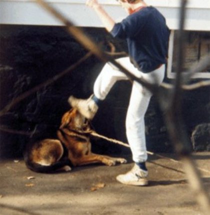 Imagem de maus tratos com animais Como denunciar maus tratos com animais?