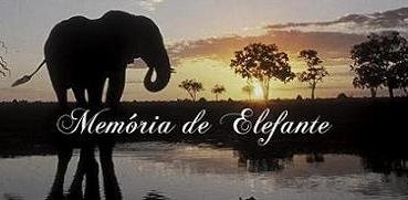 Elefante tem mesmo boa memória?