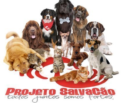 Imagem de gatos e cães abandonados Comprar ou adotar um cachorro?