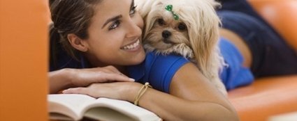 Como cuidar do meu cachorro Como cuidar do meu gato?