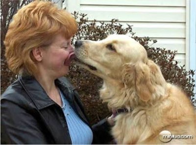 Imagem de um cão e sua dona Animais heróis e suas histórias!