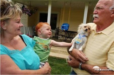 Imagem do cão e sua família Animais heróis e suas histórias!