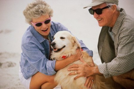 Um tratamento incomparável para a qualidade de vida! Animais para uma vida melhor