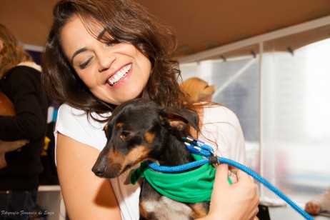 Seu carinho já conta muito para um vira lata! Ajudando os cachorrinhos para adoção