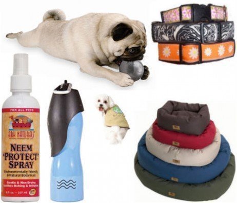 Ganhe descontos estratégicos para os produtos de seus bichinhos de estimação! Obtendo descontos para produtos para bichinhos
