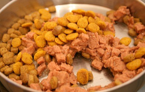 Para não ficar muito cara a alimentação do seu pet, misture a ração seca com a úmida! Opção para alimentação com dificuldades digestivas