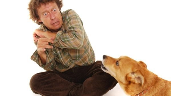 Cuidado com o preconceito sobre as fobias! Fobia de cães e preconceito