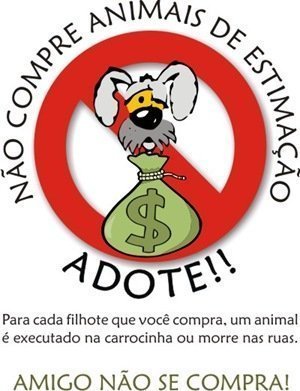 Adotar cachorro