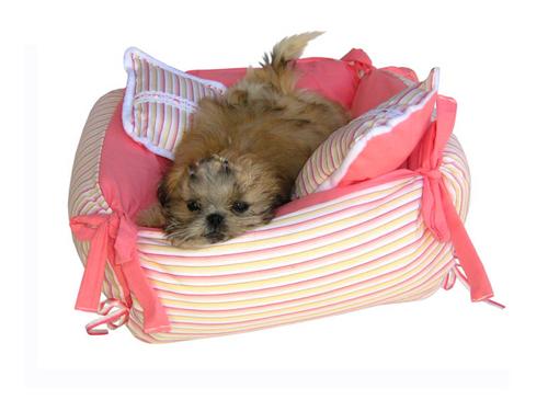 Caminha para cão
