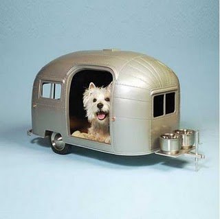 Casinha para cão