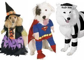 Cachorros de fantasia