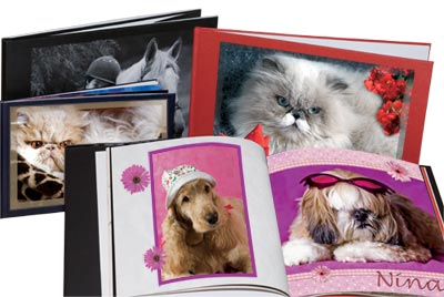 Pet Photos