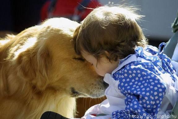 Cuidados entre crianças e animais