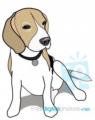 Raça pequena de cachorro