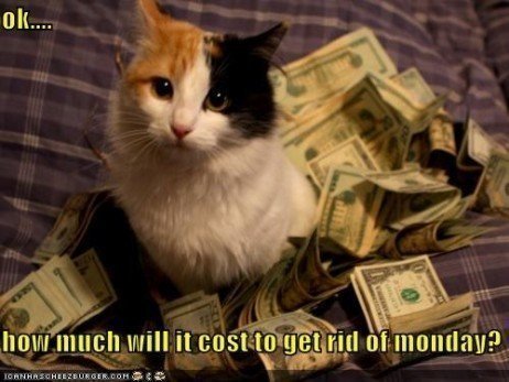 Custos de um gato