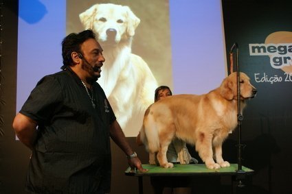 Qual o papel do Groomer?