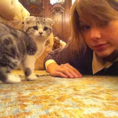 Animais de estimação dos famosos e celebridades!