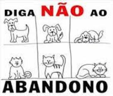 Resultado de imagem para Não posso mais cuidar do meu cachorro, o que fazer