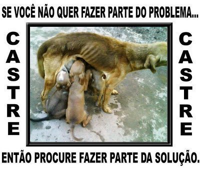 6 Verdades e mentiras sobre Castração!