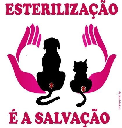 Porque castras os animais?