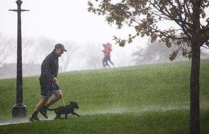 Quais os riscos da chuva pro animal de estimação?