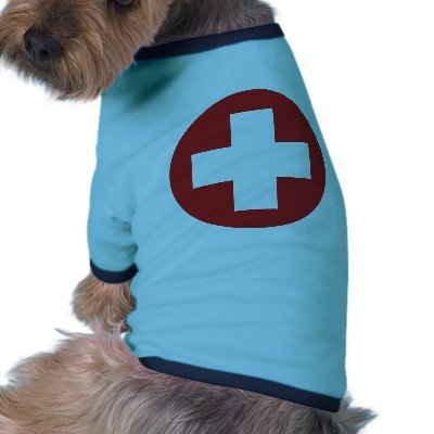 Como me preparar para emergências com meu animal?