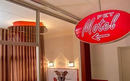 Conheça o motel para animais de estimação em BH