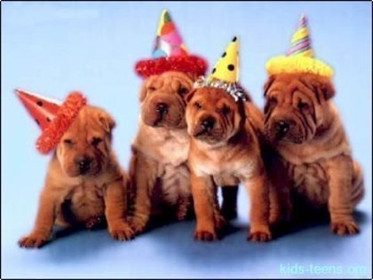 Como é uma festa de aniversário para cachorro?