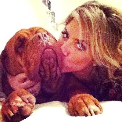 Animais de estimação dos famosos e celebridades!