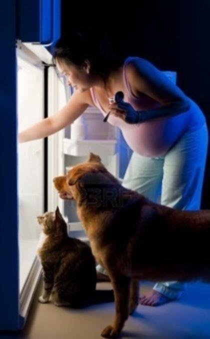 Quais os riscos que os cães e gatos oferecem para uma mulher grávida?