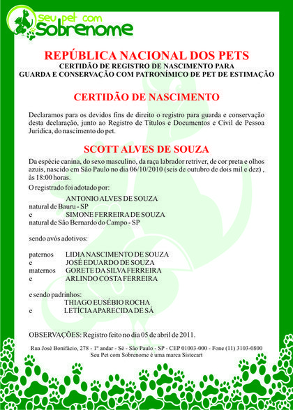 Saiba tudo sobre a certidão de nascimento para cães e gatos