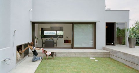 Preparando casa para animais