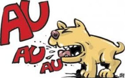Quais raças de cães latem menos?