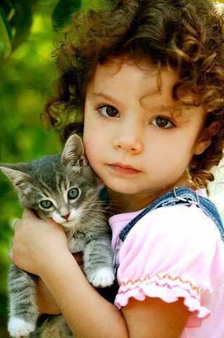 Gatos podem ajudar a curar a asma?