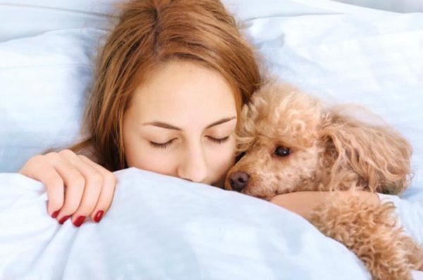 Cães e doenças que afetam humanos