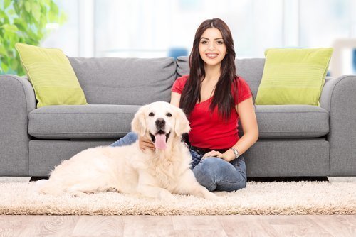 Qual cão escolher para apartamento
