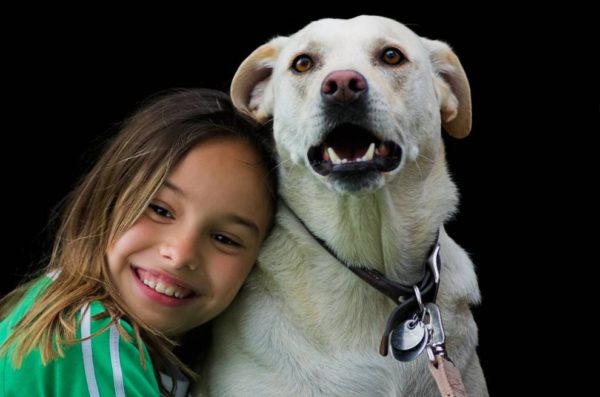 Como deixar um cão feliz