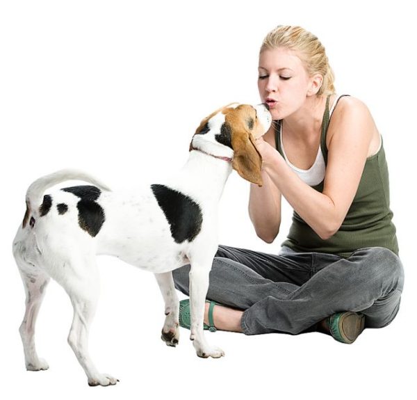 Como um animal de estimação ajuda no tratamento da depressão