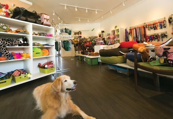 Como montar um pet shop